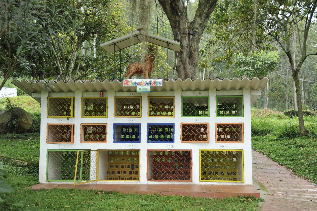 Termales Santa Monica Choachí Exterior foto
